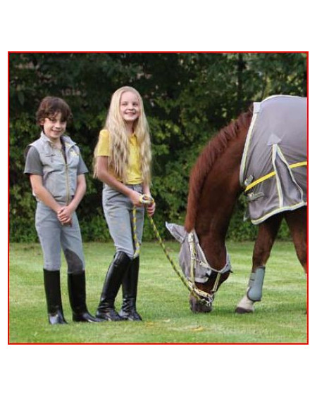 BR 4-Ever Horses Bodywarmer, Griffin