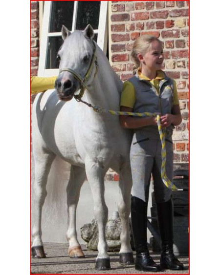 BR 4-Ever Horses Bodywarmer, Griffin