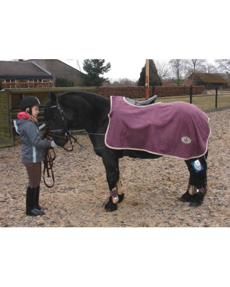 ThermoStar Wellfit Alcantara uitrijdeken, Blackberry