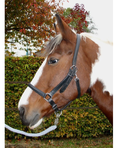 S&K leren halster met snelclipsluiting, Pony