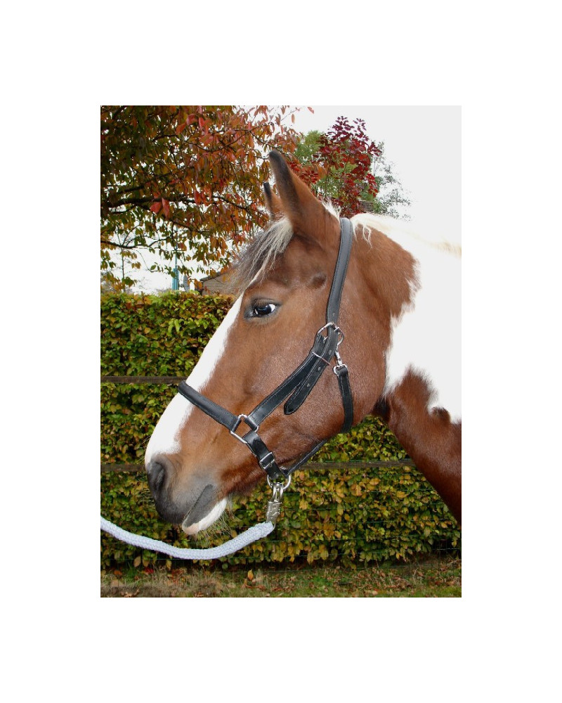 S&K leren halster met snelclipsluiting, Pony