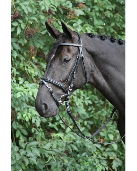 Horka hoofdstel Detach, afneemb. sperriem, zwart/zilver