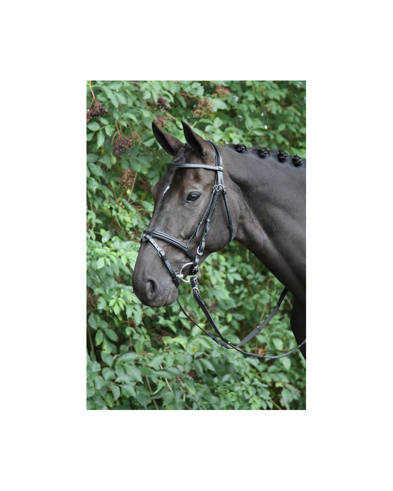 Horka hoofdstel Detach, afneemb. sperriem, zwart/zilver