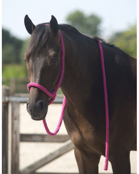 QHP leidhalster, lichtblauw, universeel