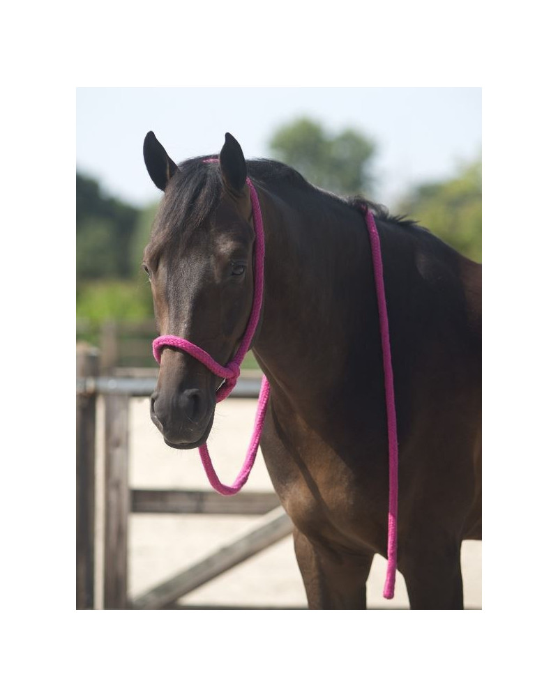 QHP leidhalster, lichtblauw, universeel