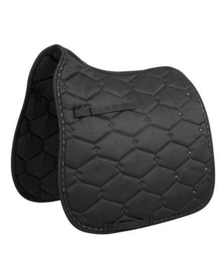 BR Zadeldek Buckingham, Zwart