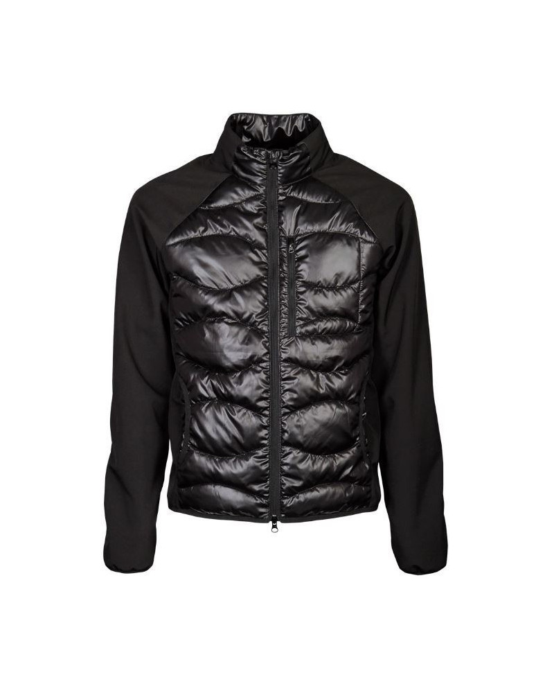 Harry's Horse Softshell padded jas Liciano, Zwart