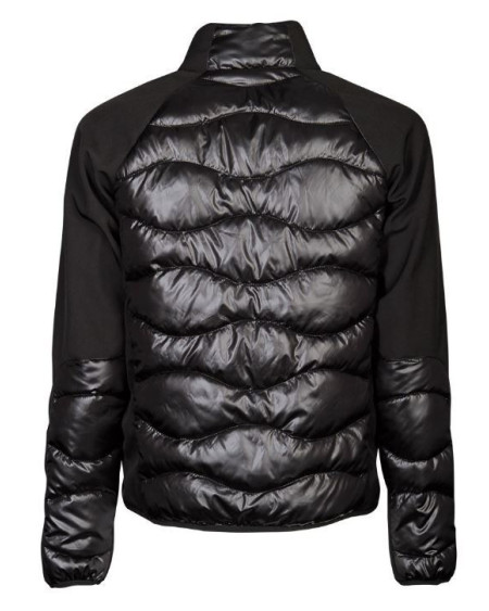 Harry's Horse Softshell padded jas Liciano, Zwart