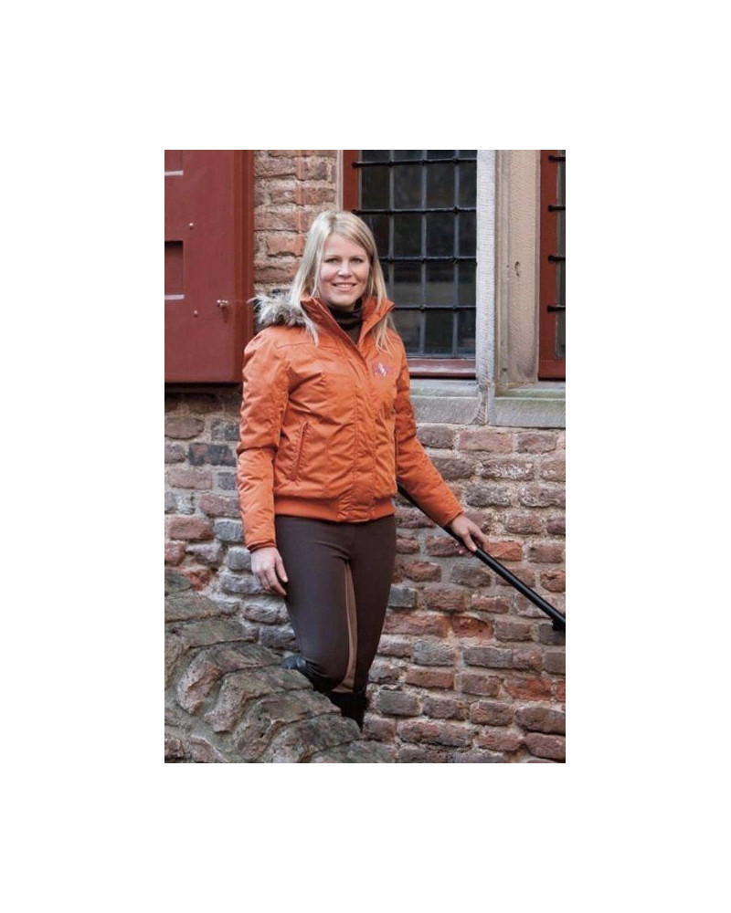 BR jack St.Moritz, Terra