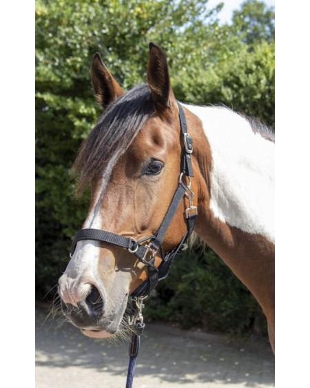 HKM Halster -Safe Control- Style, Zwart