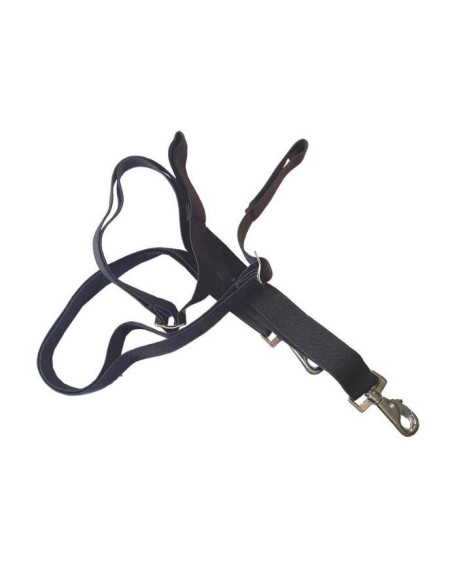 Kavalkade elastische bilkoorden, zwart