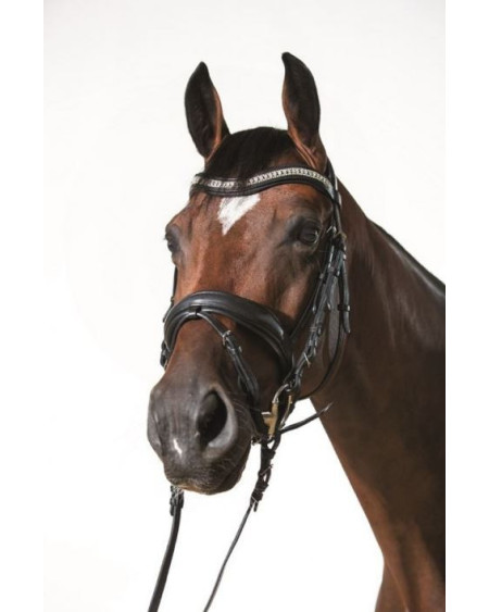 HKM hoofdstel Cavalli Puri, Zwart