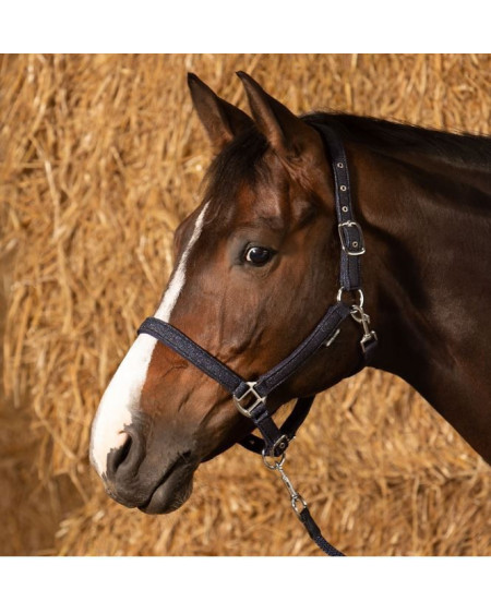 Harry's Horse halsterset Glitter, Navy