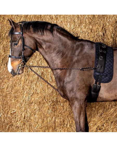 Harry's Horse Longeerkoord V-line (paar), Zwart