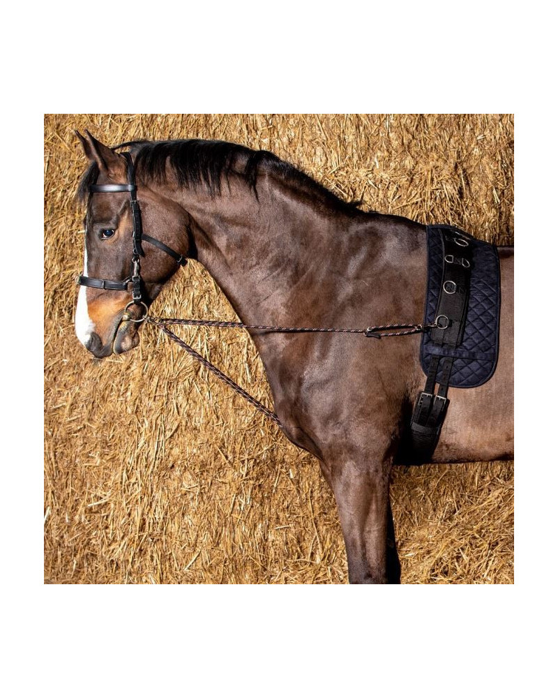 Harry's Horse Longeerkoord V-line (paar), Zwart