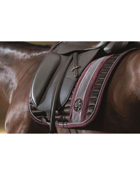 Cavalli Puri Zadeldek Odello Derby, Bruin grijs