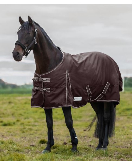 Waldhausen 200 grams Economic Outdoordeken, Kastanjebruin