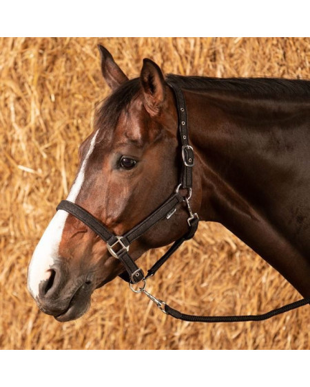 Harry's Horse Halsterset Glitter, Zwart