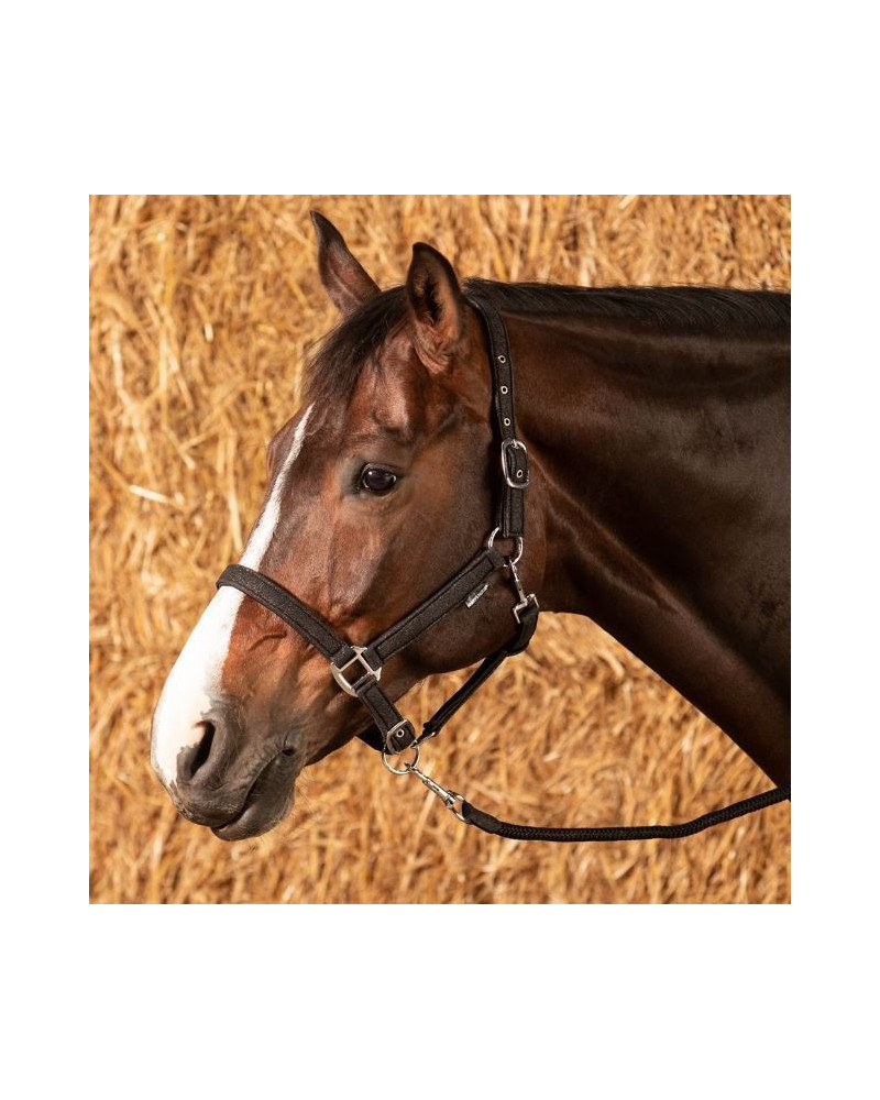 Harry's Horse Halsterset Glitter, Zwart