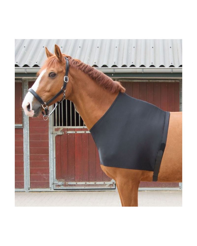Harry's Horse borstbeschermer, zwart