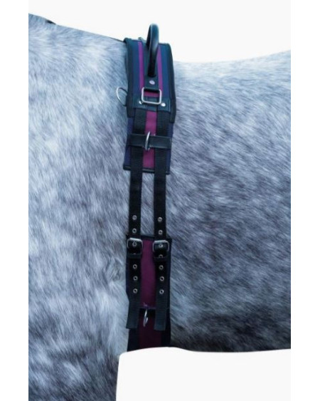 HKM longeersingel Exclusive met dubbele handgreep, oker/groen/zwart