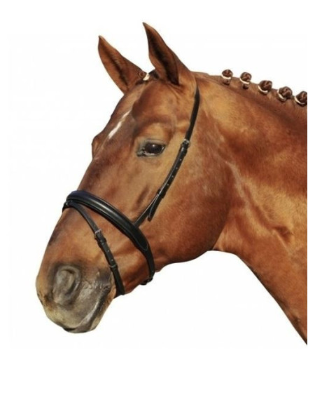 HKM gecombineerde neusriem m sperriem London, Zwart