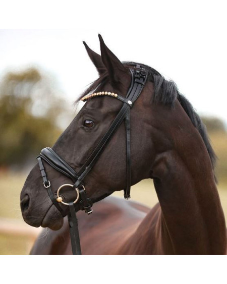Kavalkade hoofdstel "Fortuna" KavalSH4, afneembare sperriem, Zwart