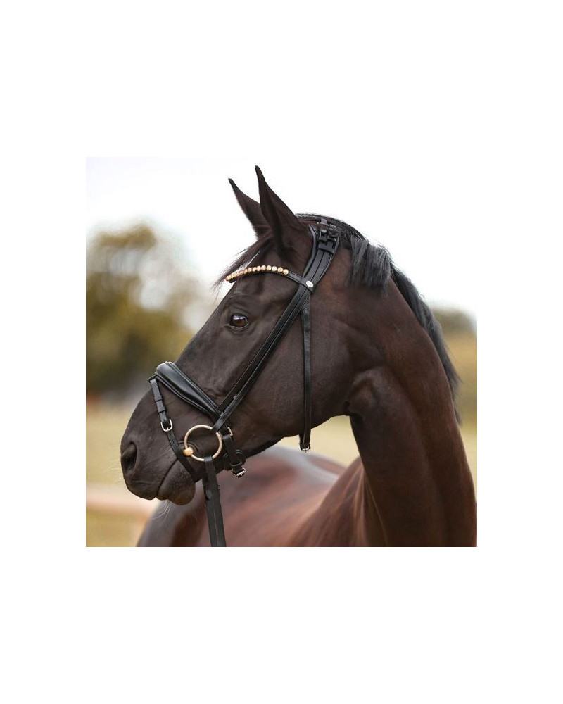 Kavalkade hoofdstel "Fortuna" KavalSH4, afneembare sperriem, Zwart