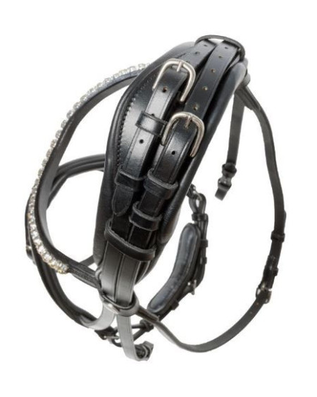 Kavalkade hoofdstel "Fortuna" KavalSH4, afneembare sperriem, Zwart