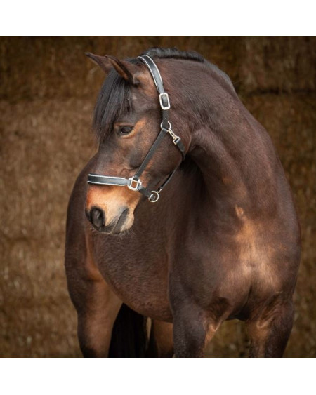 Harry's Horse leren halster Sparkle, Zwart