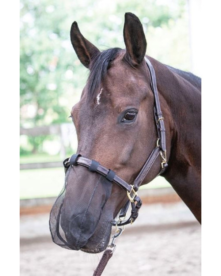 Harry's Horse Neusnet, Zwart