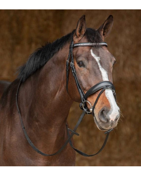 Harry's Horse Hoofdstel Drops, Zwart