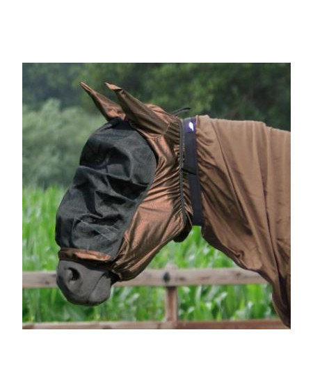 QHP Eczeemkap, Bruin