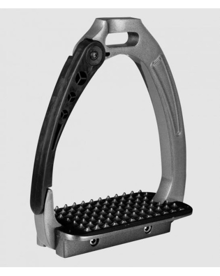 Waldhausen Veiligheidsbeugel Pro, Grijs/Zwart