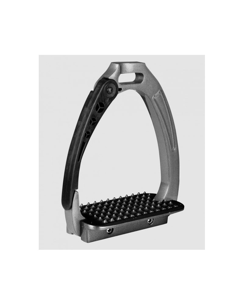 Waldhausen Veiligheidsbeugel Pro, Grijs/Zwart