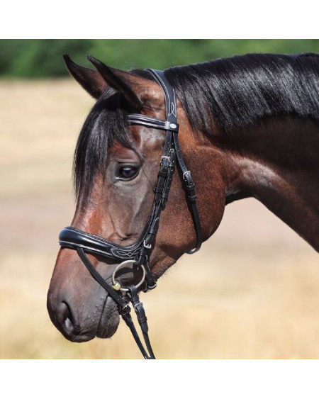 Kavalkade Hoofdstel Ivy Plus, Zwart