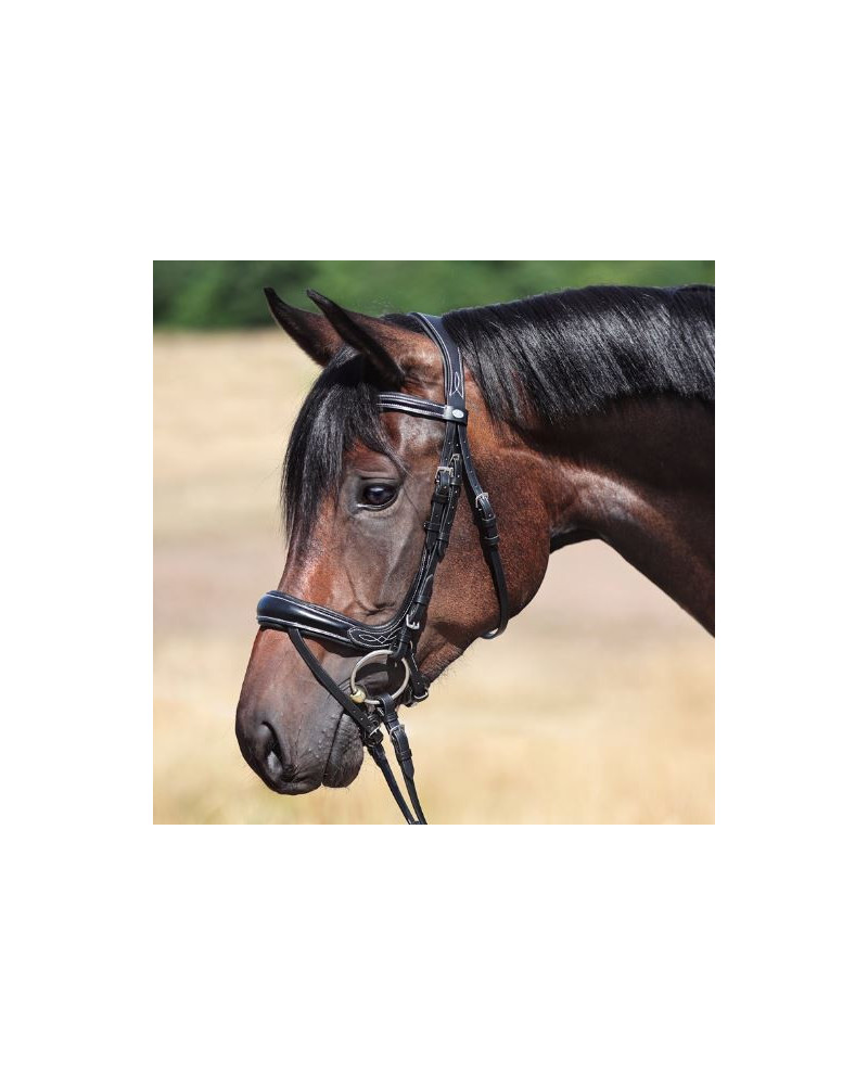 Kavalkade Hoofdstel Ivy Plus, KavalSH4, Zwart
