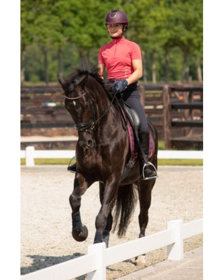 Harry's Horse Shirt Assoul, Holly-Berry