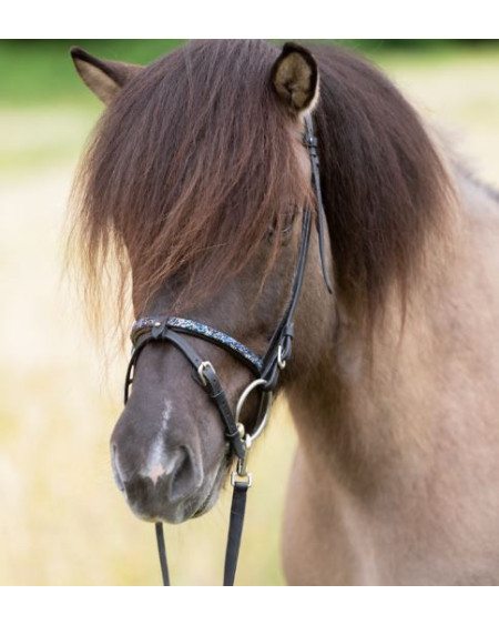 Kavalkade IJslander neusriem Kjartan-Blár Island, Zwart/Blauw