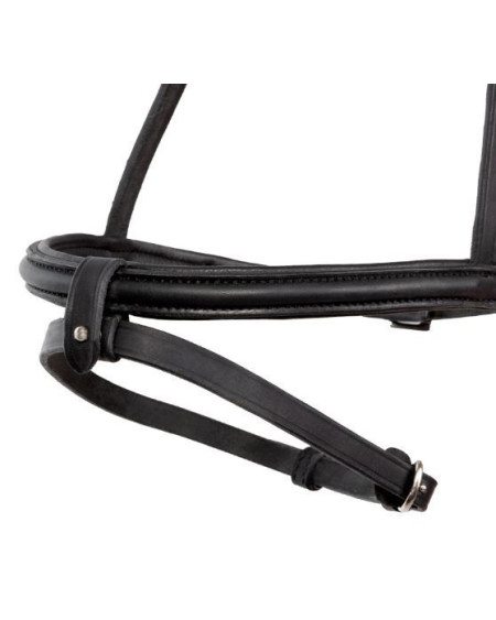 Kavalkade IJslander neusriem Kjartan-Svartur Island, zwart