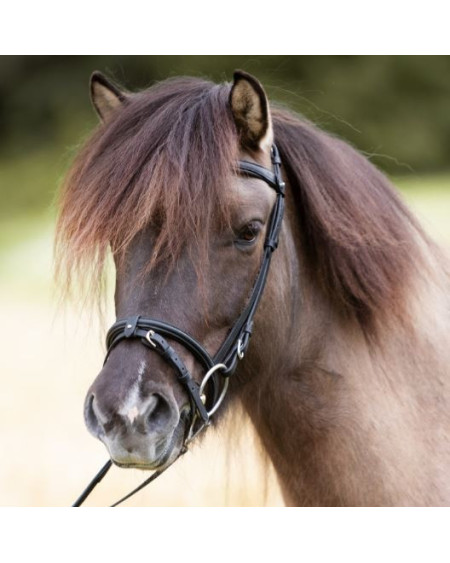 Kavalkade IJslander neusriem Kjartan-Svartur Island, zwart