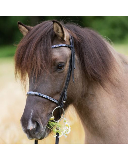 Kavalkade IJslander frontriem Kjartan-Blár Island, Zwart-Blauw