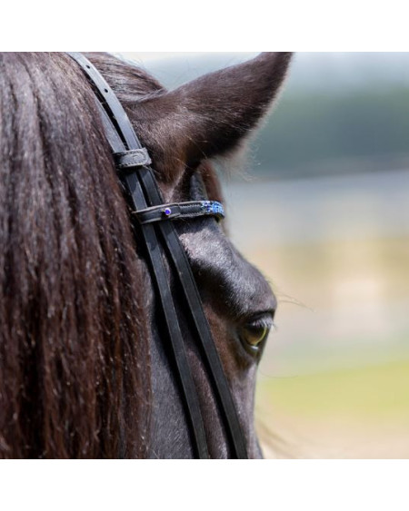 Kavalkade IJslander frontriem Kjartan-Blár Island, Zwart-Blauw