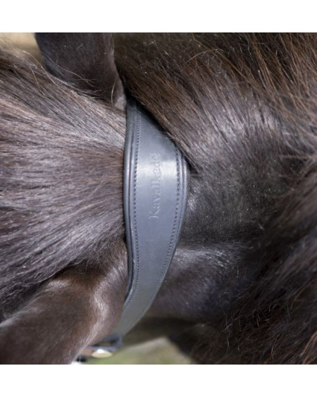 Kavalkade kopstuk voor IJslander hoofdstel Aradis, Zwart