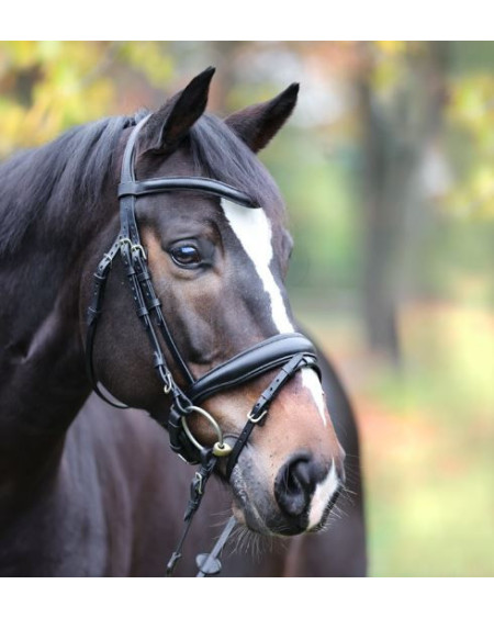 Kavalkade hoofdstel Proline Astrid, Zweedse aansnoerneusriem, Bruin
