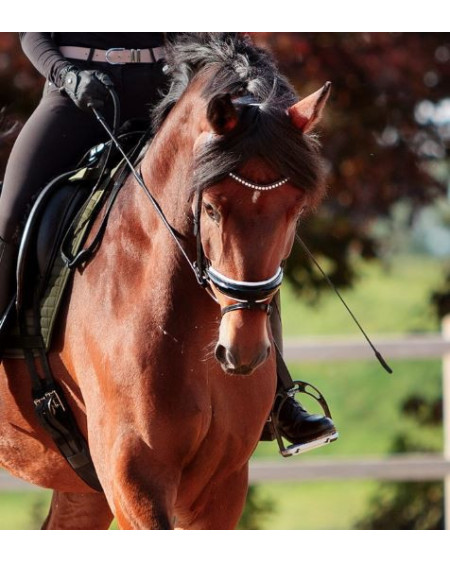 Kavalkade Hoofdstel Charlotte, Zwart/Wit Lak