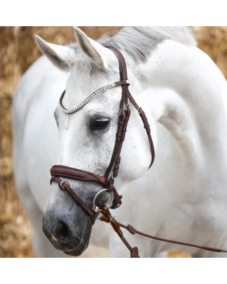 Kavalkade KavalSH4 hoofdstel Everness van geolied leer, Bruin