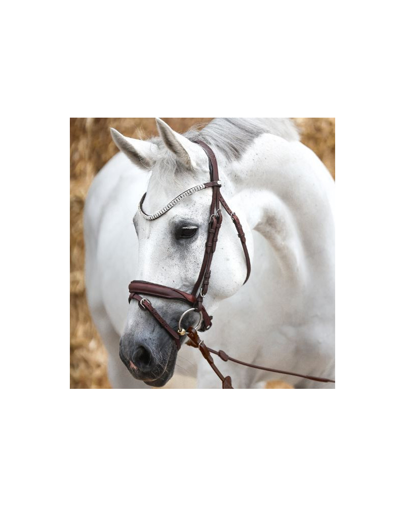 Kavalkade KavalSH4 hoofdstel Everness van geolied leer, Bruin