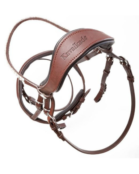 Kavalkade KavalSH4 hoofdstel Everness van geolied leer, Bruin