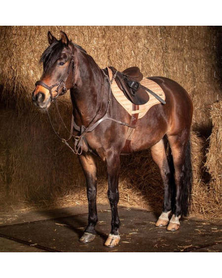 Harry's Horse zadeldek Oxer, Bordeaux